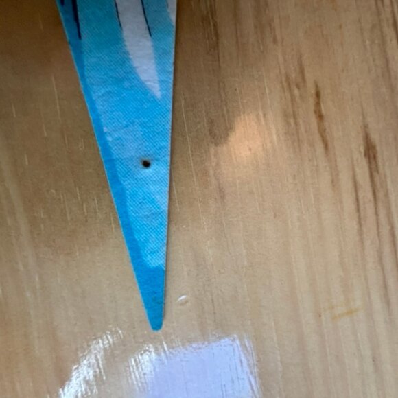 Vintage Picured Rocks Pennant - Picture 3 of 7